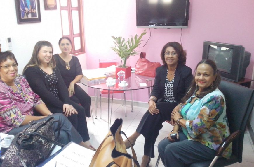 Reunión en relación al Sistema Único de Gestión de Medicamentos e Insumos (SUGEMI)