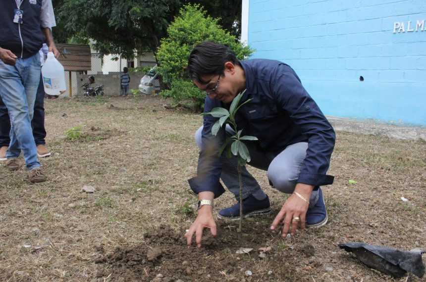 SRS Cibao Norte impulsa jornada de siembra de árboles frutales en CPN de Santiago